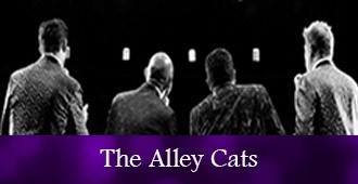 nye_alleycat